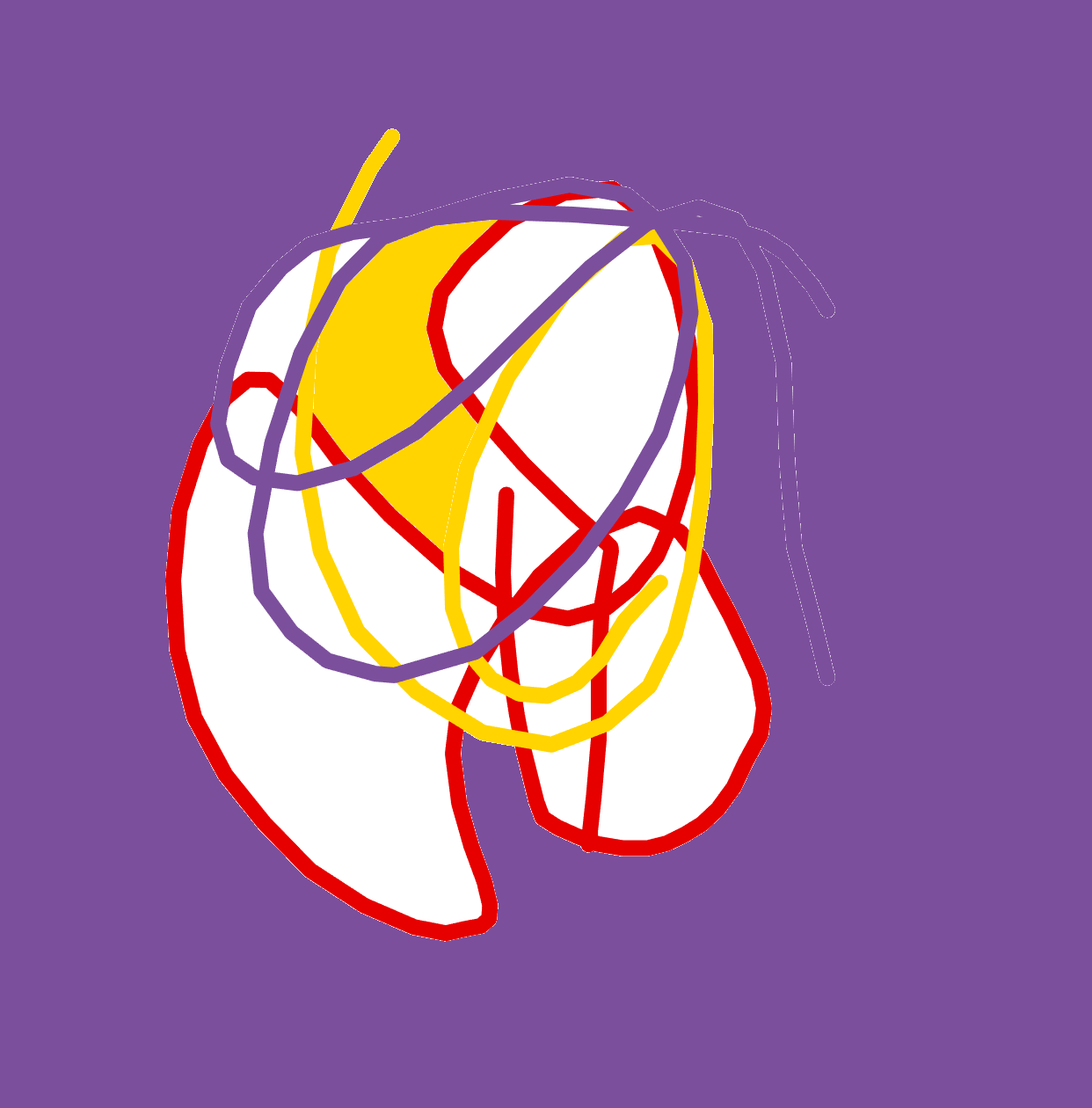 Untangling the Yellow Core by Diego Ali