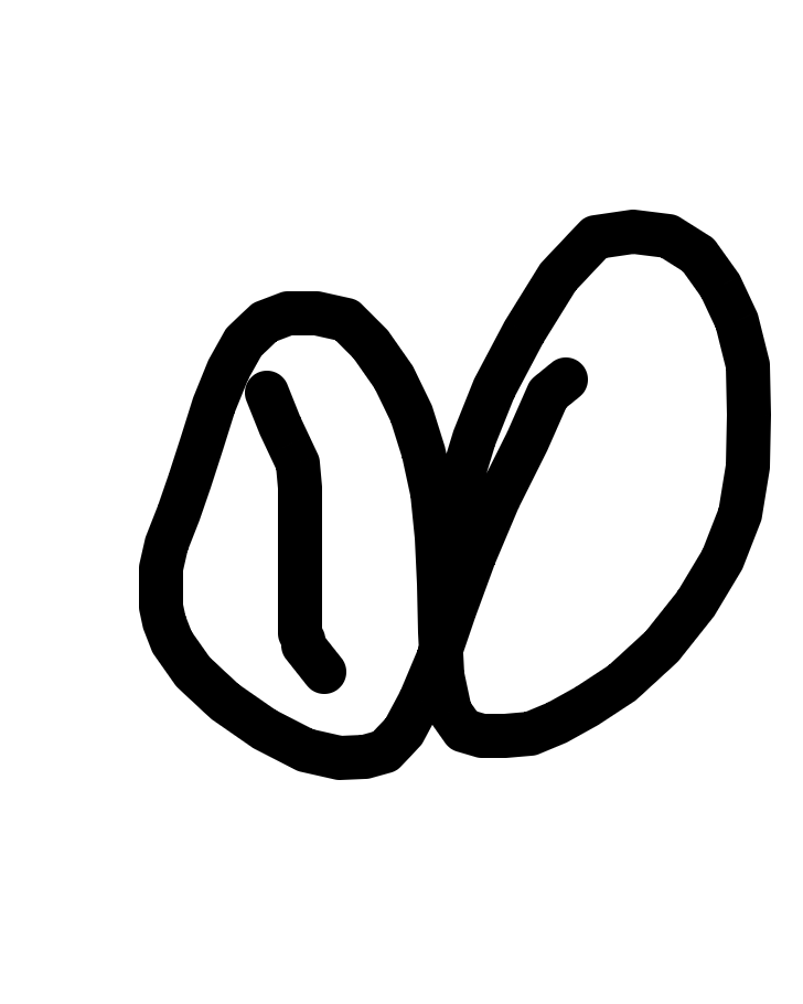 Two Lobes, One Breath, a drawing by Lani