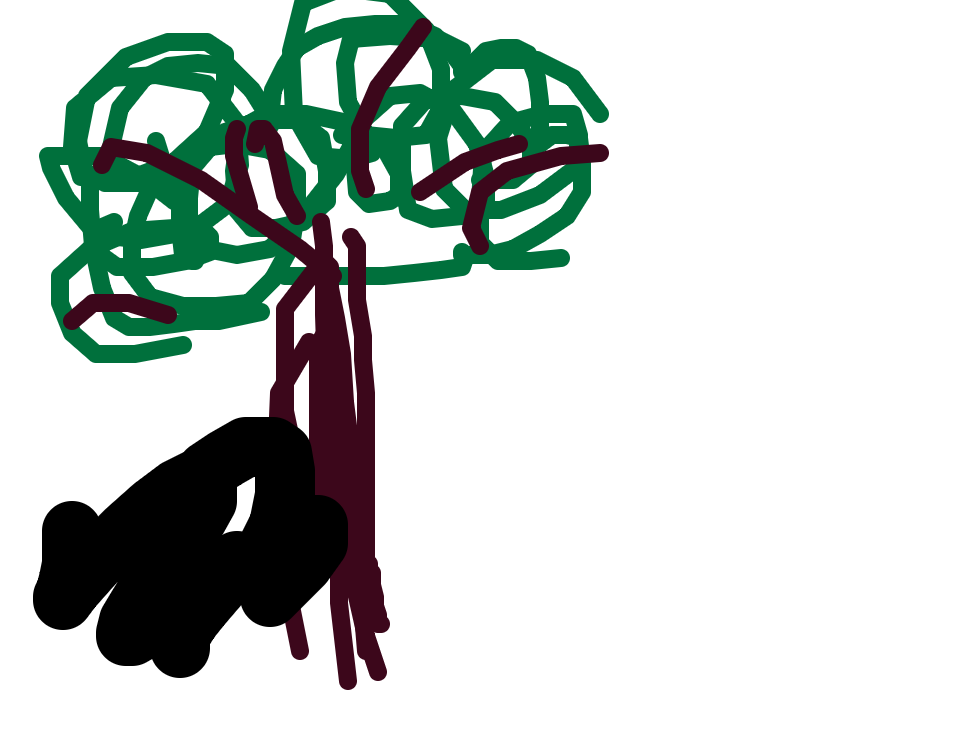 Mangrove with Black Shore, a drawing by Pete Harrison
