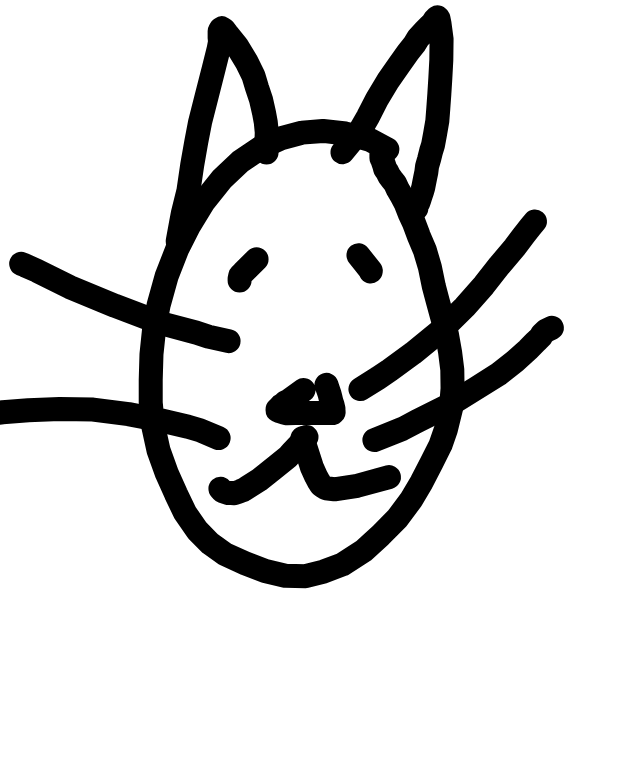 Cat Face With Whiskers, a drawing by Aligha