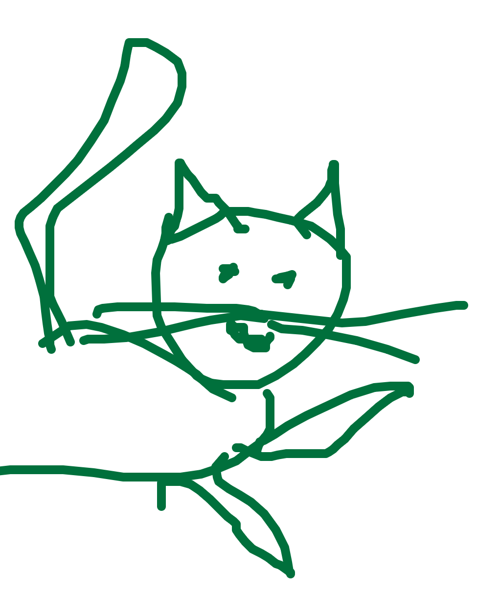 Animals