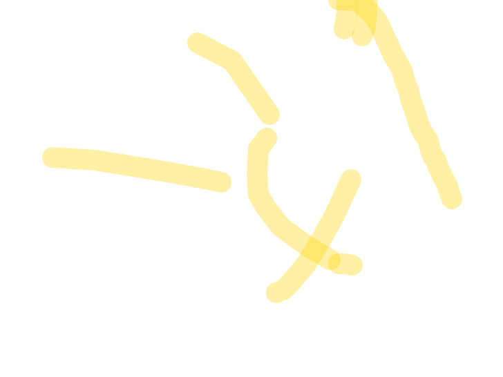 Yellow Lines Crossing White by Kevin