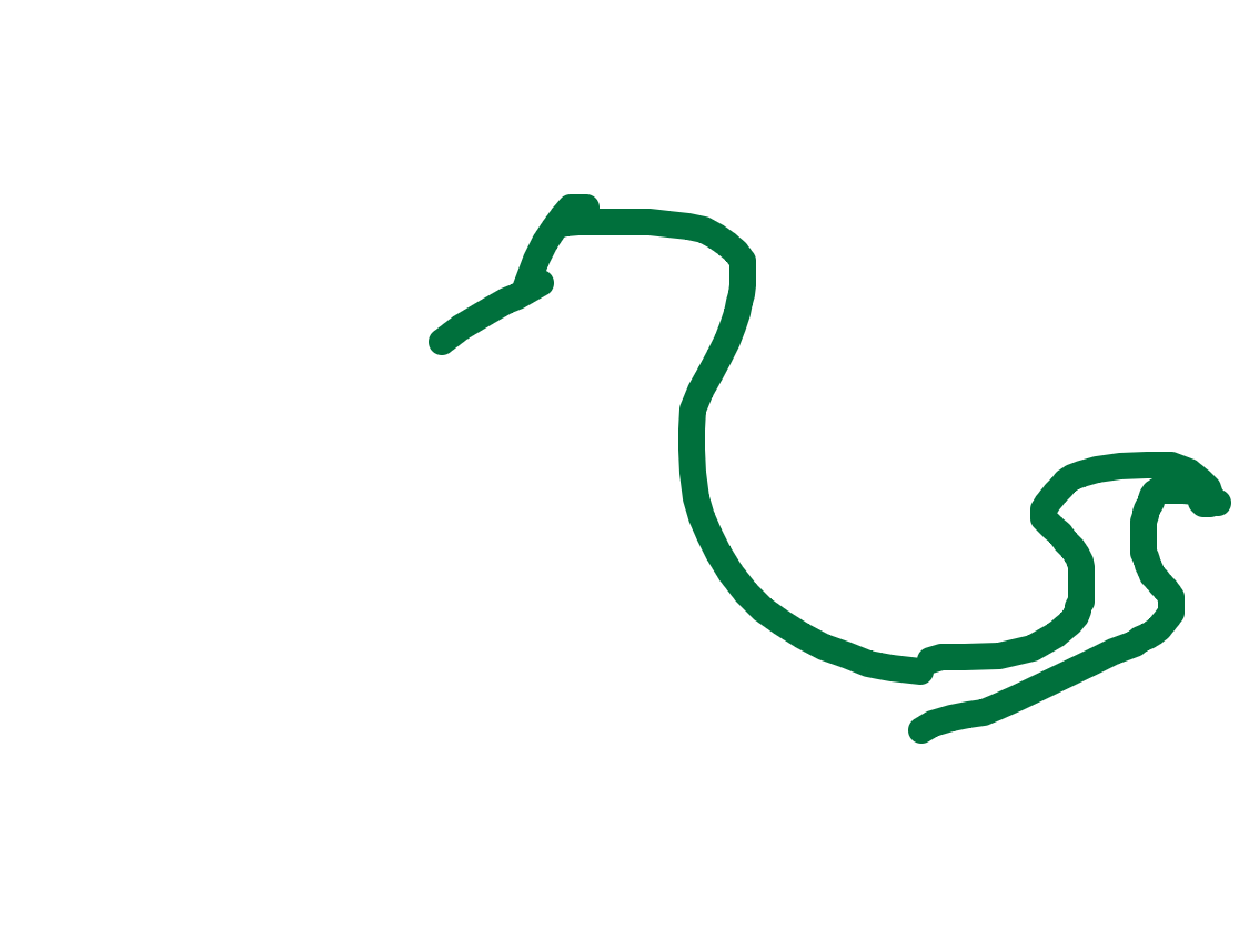 Duck Resting on Still Water, a drawing by Rusto