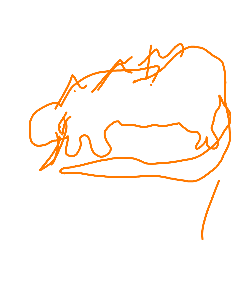 Sleeping Animal, Dense Fur, a drawing by Cressida Nwosu