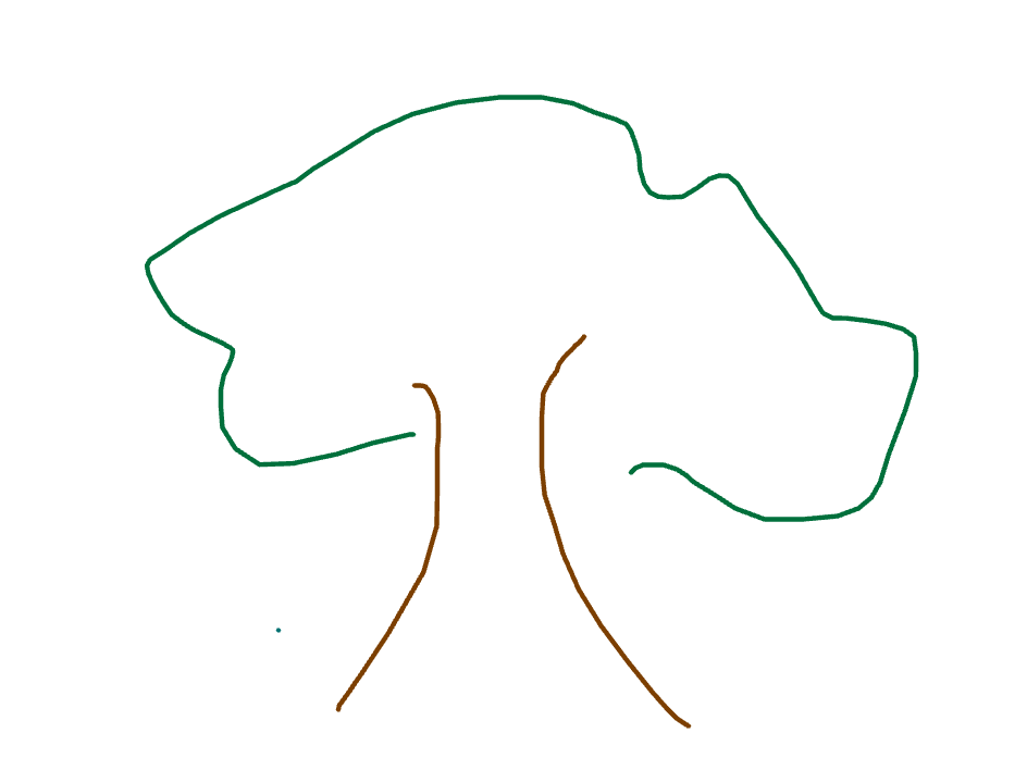 Tree With Two Roots by Parveen Okafor