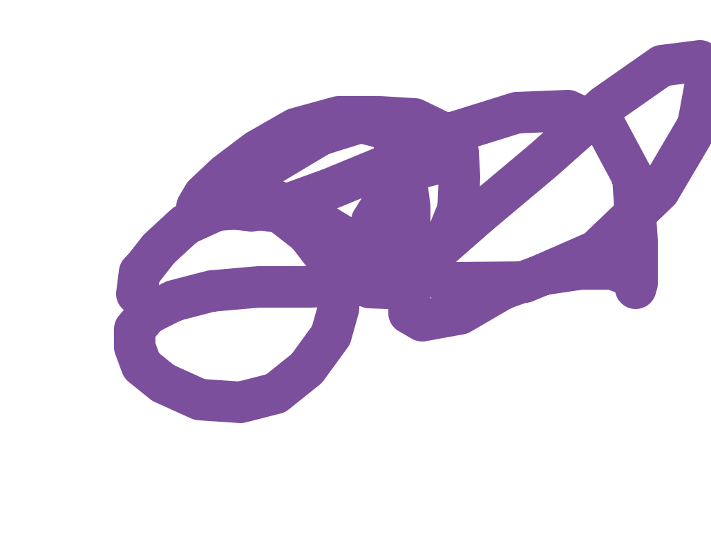 Purple Knot in Motion by Maximus